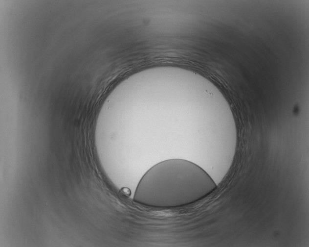 X0000116260219200911301000