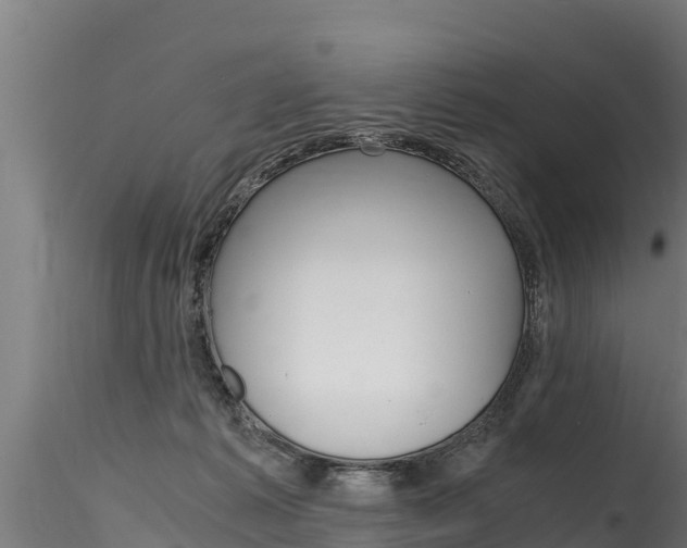X0000116260221200911301000