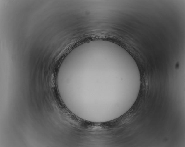 X0000116260224200911301000