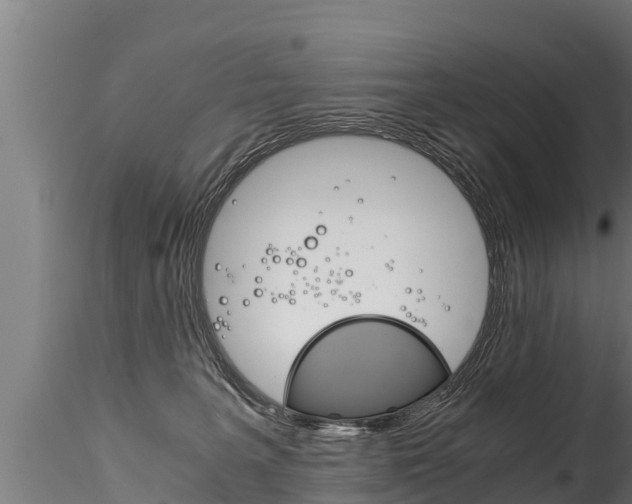 X0000116260227200911301000