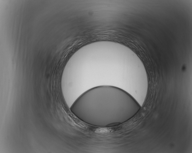 X0000116260231200911301000