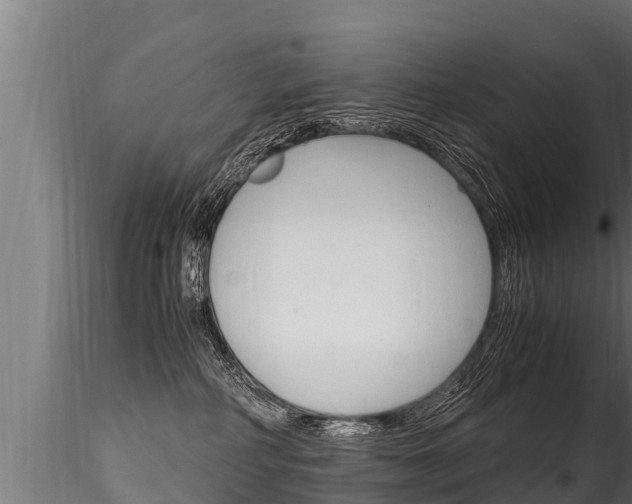 X0000116260234200911301000