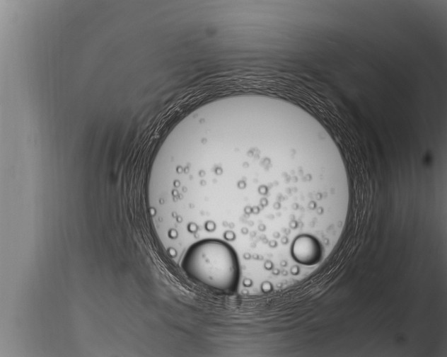X0000116260235200911301000