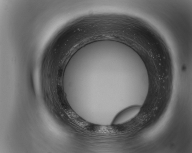 X0000116260239200911301000