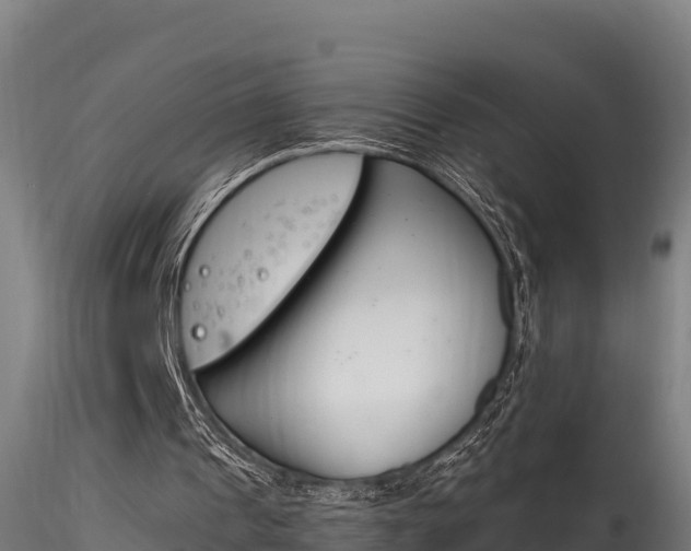 X0000116260241200911300959