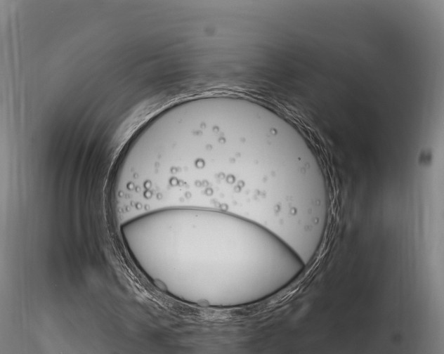 X0000116260242200911300959