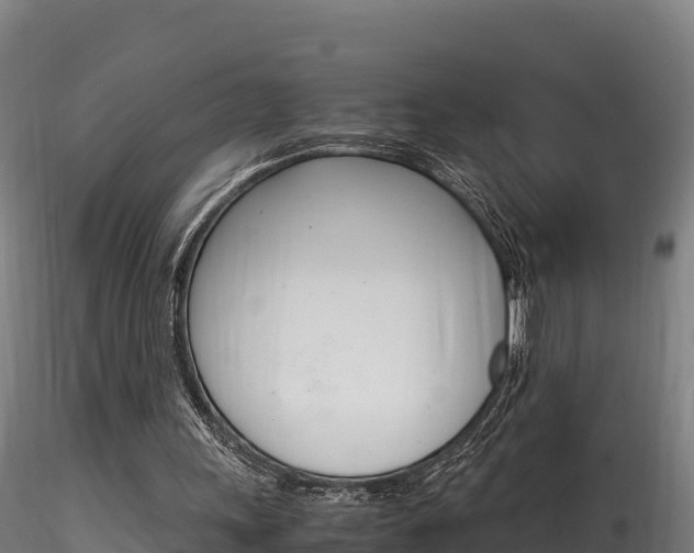 X0000116260243200911300959