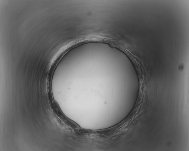 X0000116260244200911300959