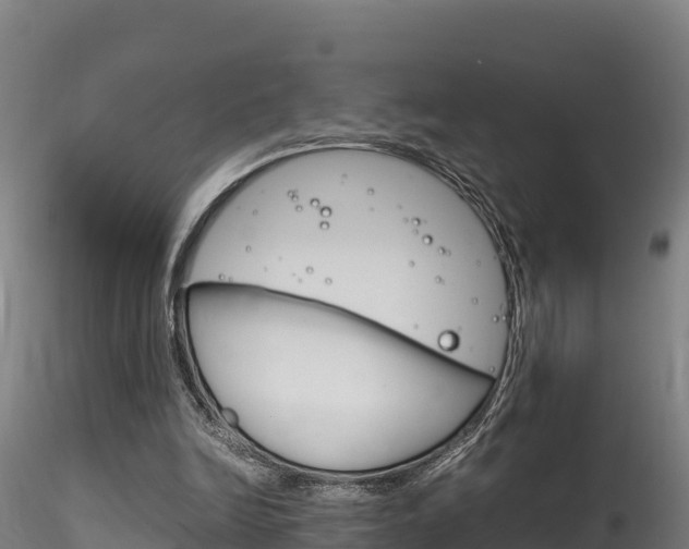 X0000116260246200911300959