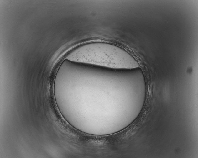 X0000116260247200911300959