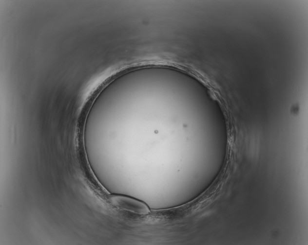 X0000116260248200911300959