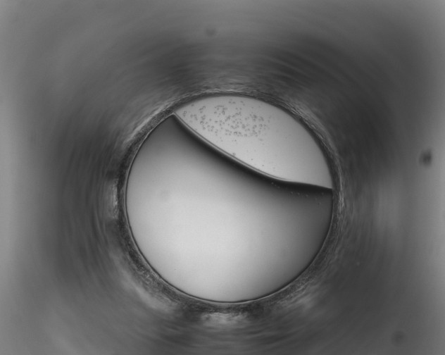 X0000116260251200911301000