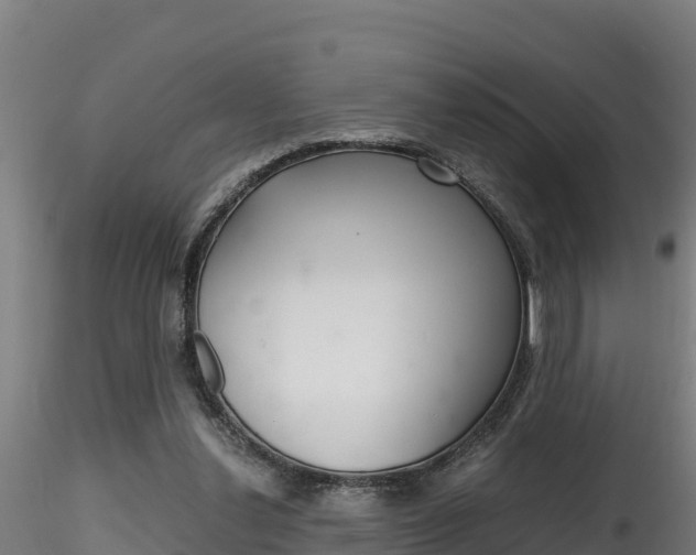 X0000116260252200911301000