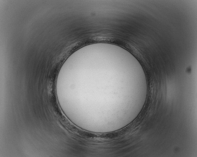 X0000116260255200911301000