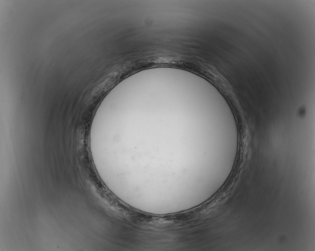 X0000116260257200911301000