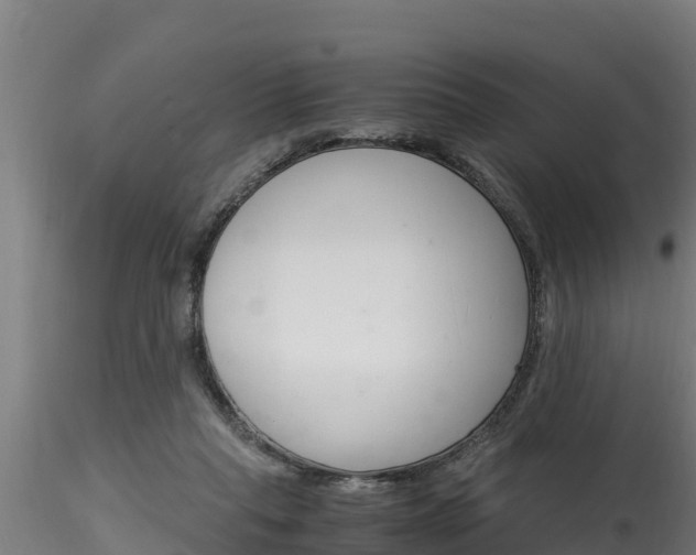 X0000116260261200911301000