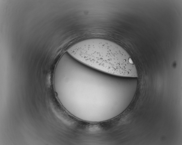 X0000116260262200911301000