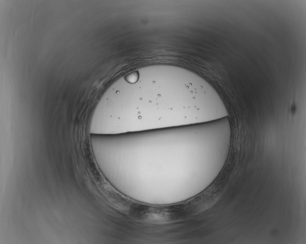 X0000116260263200911301000