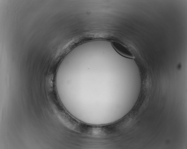 X0000116260264200911301000