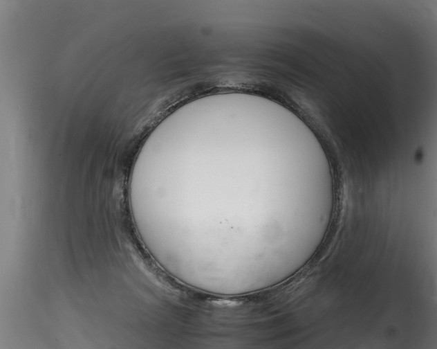 X0000116260265200911301000