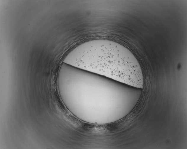 X0000116260270200911301000