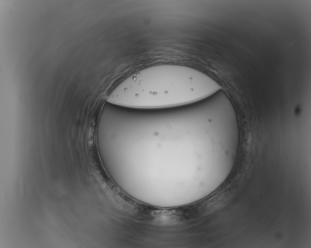 X0000116260273200911301000
