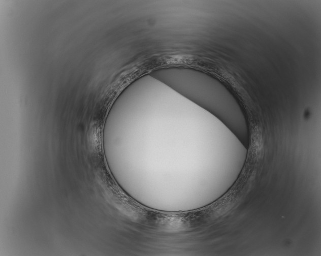 X0000116260276200911301000