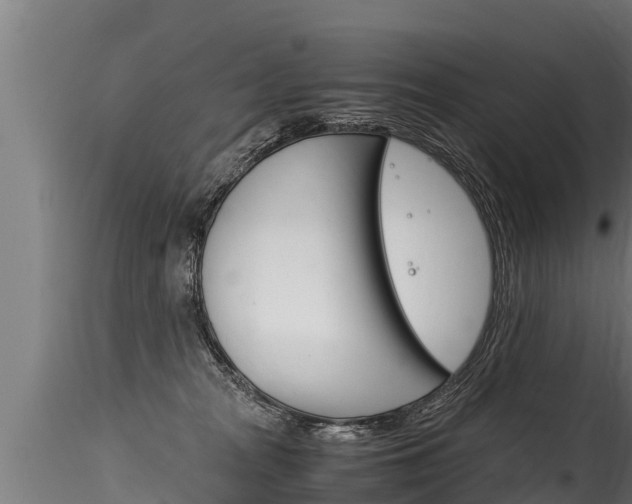 X0000116260277200911301000