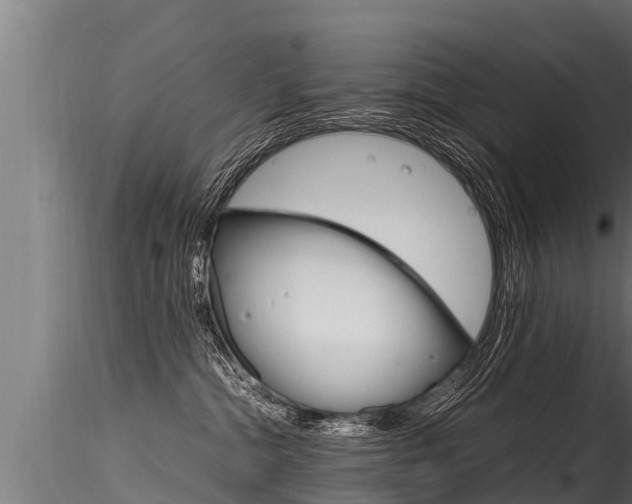 X0000116260284200911301000