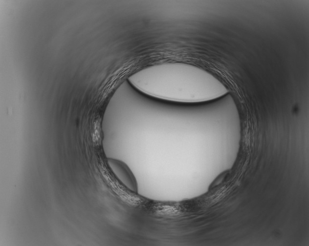 X0000116260285200911301000