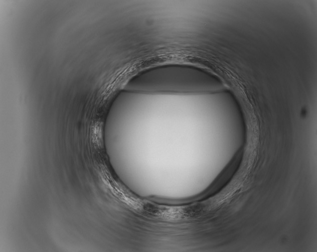 X0000116260288200911301000