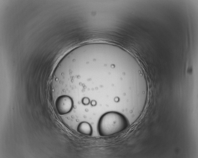 X0000116260289200911300959