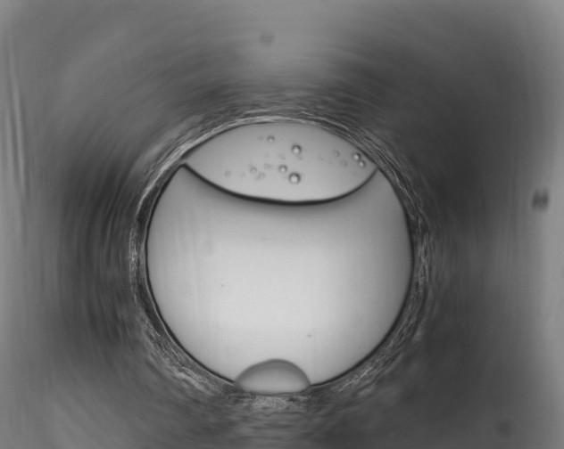 X0000116260290200911300959