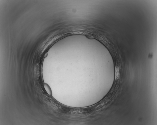 X0000116260291200911300959