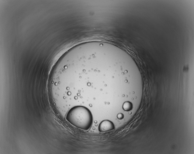 X0000116260292200911300959