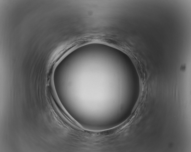 X0000116260293200911300959