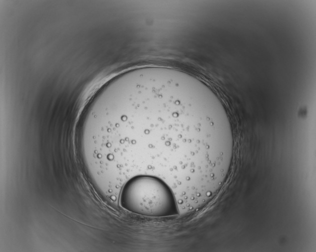 X0000116260294200911300959