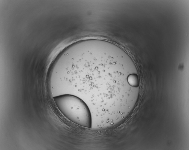 X0000116260296200911300959