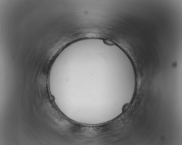 X0000116260297200911300959