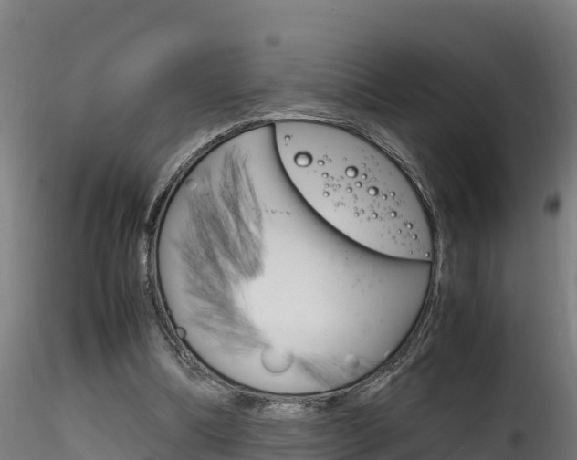 X0000116260298200911300959
