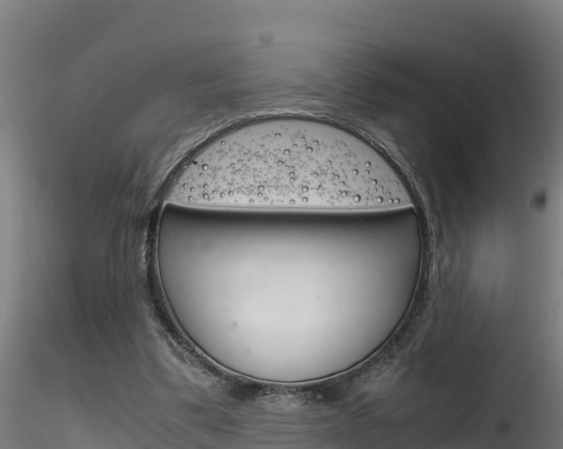 X0000116260299200911300959