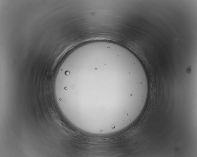X0000116260300200911300959