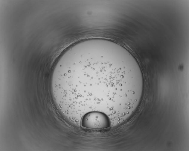 X0000116260301200911300959