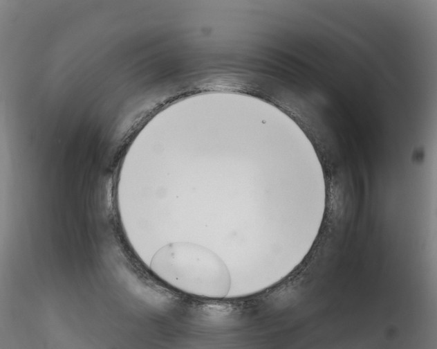 X0000116260302200911300959