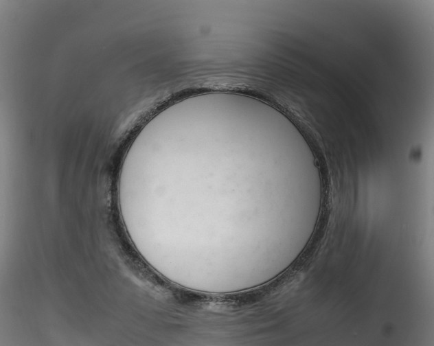 X0000116260303200911300959