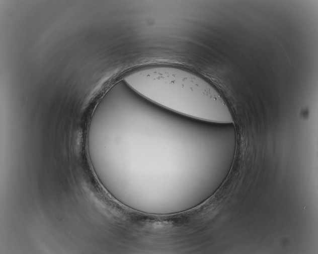 X0000116260304200911300959