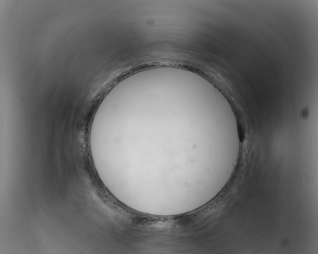 X0000116260306200911300959