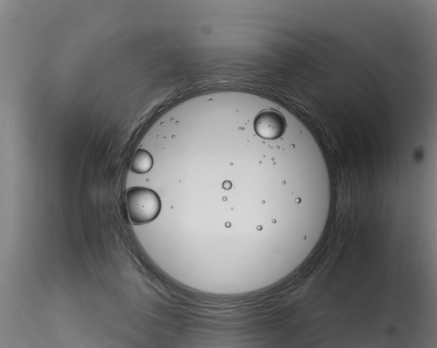 X0000116260308200911300959
