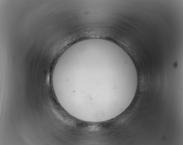 X0000116260310200911300959