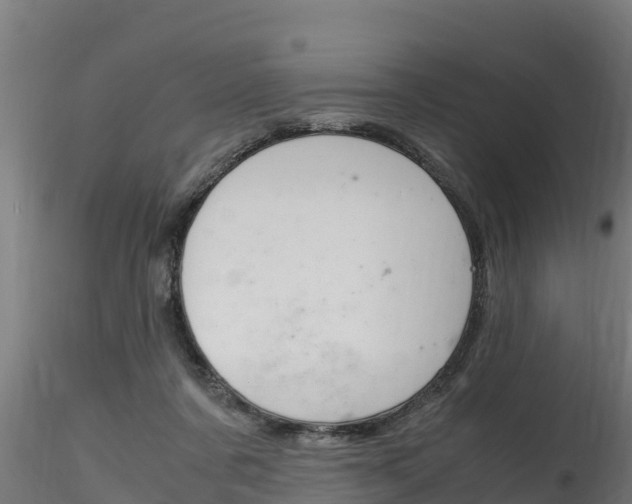 X0000116260311200911300959